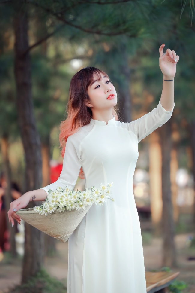 双碟秀直播 镜中蛇